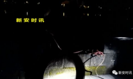 凌晨三点视频,揭秘深夜视频背后的故事